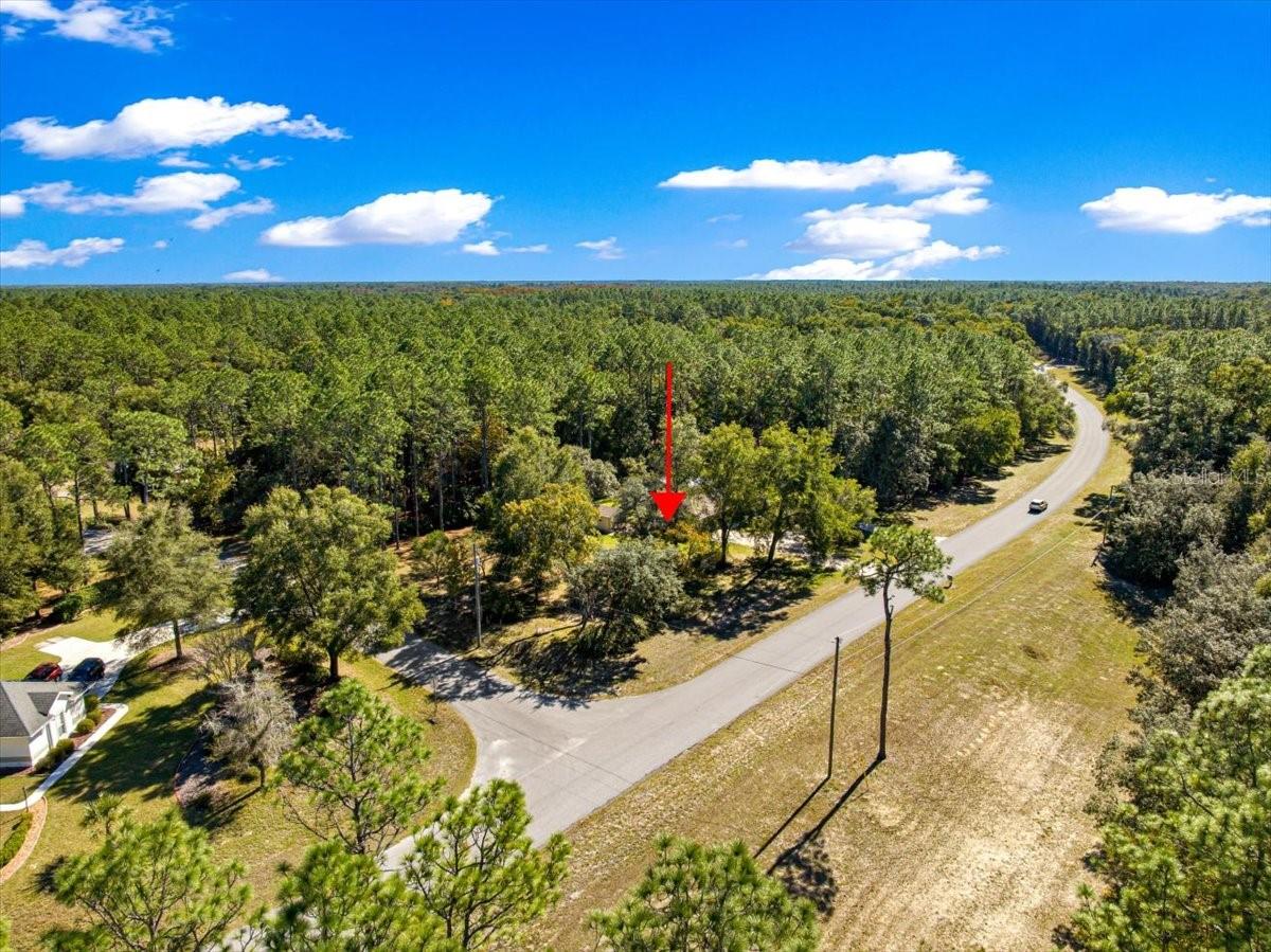 RAINBOW SPRINGS - THE FOREST - Residential