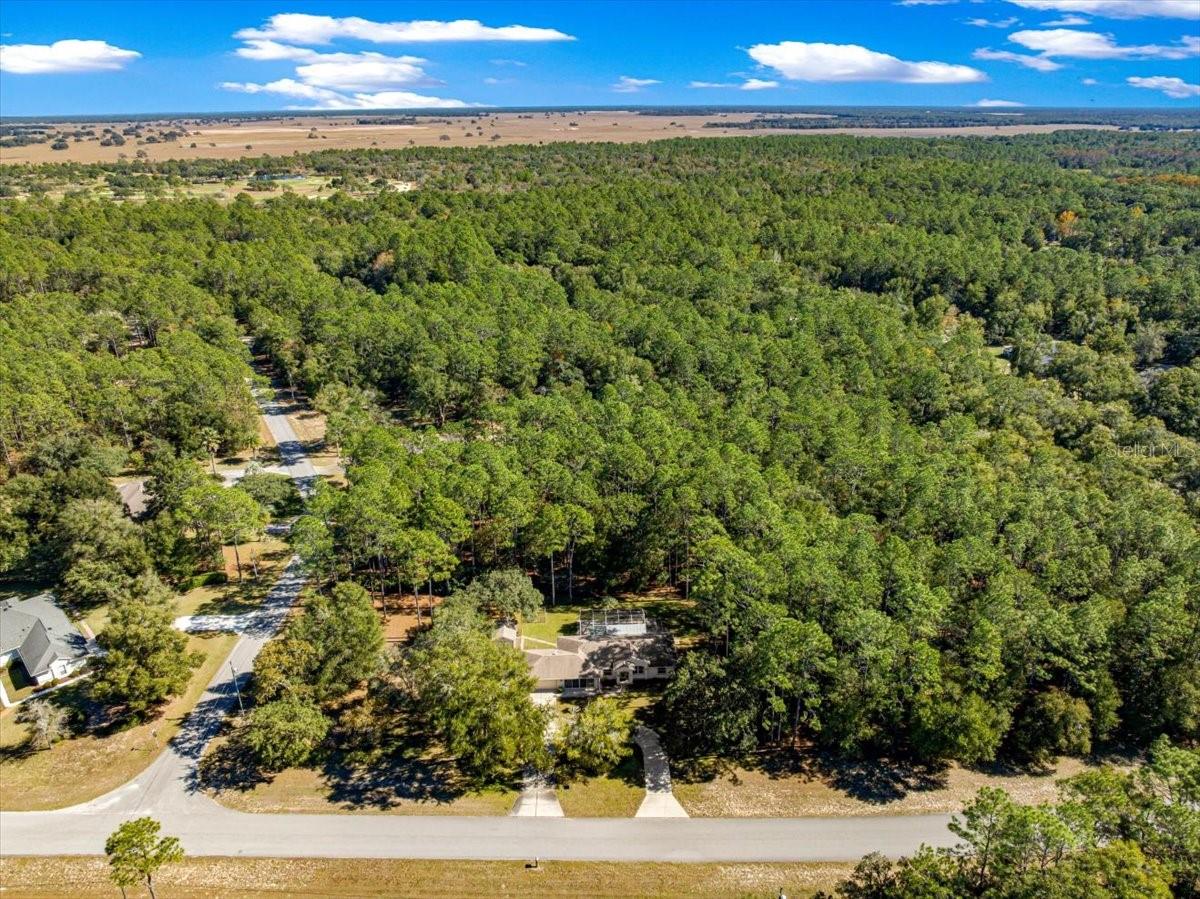 RAINBOW SPRINGS - THE FOREST - Residential