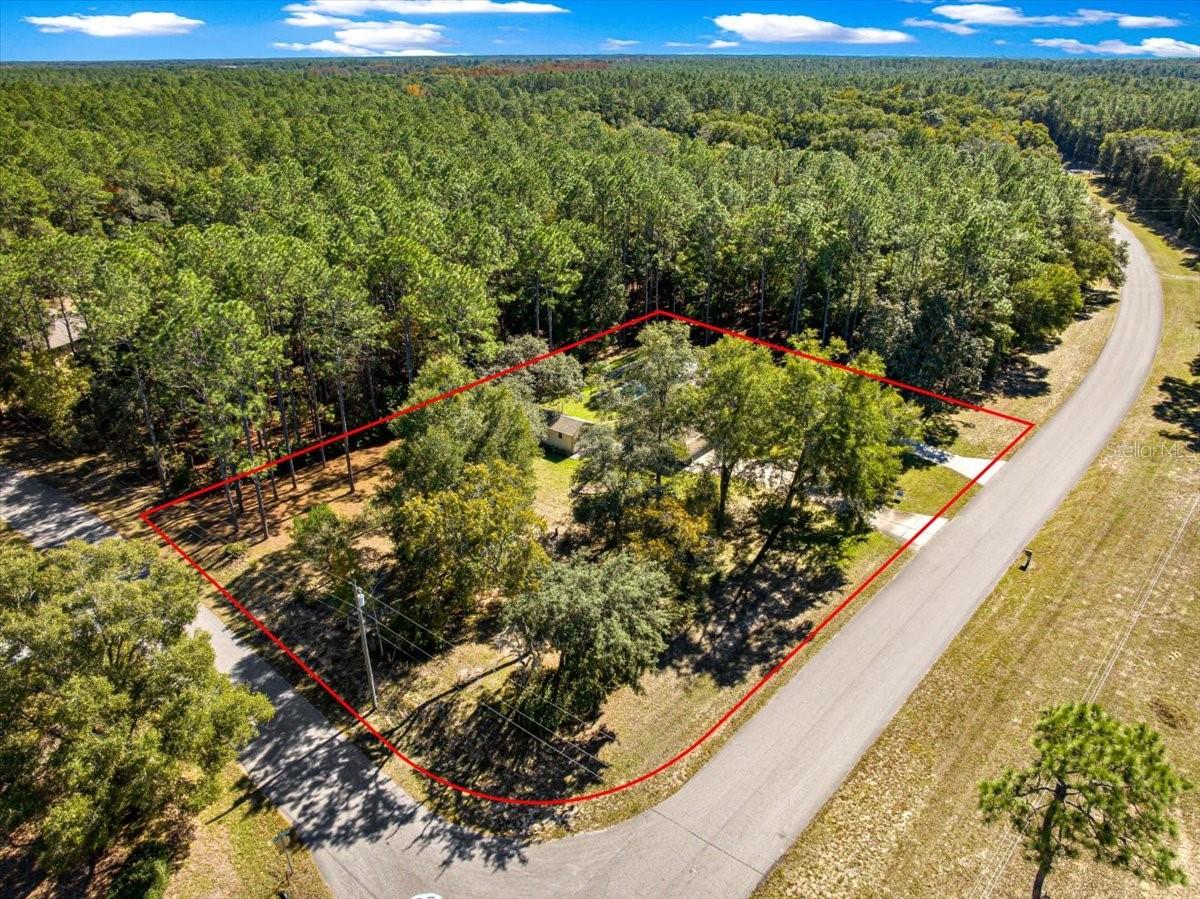 RAINBOW SPRINGS - THE FOREST - Residential