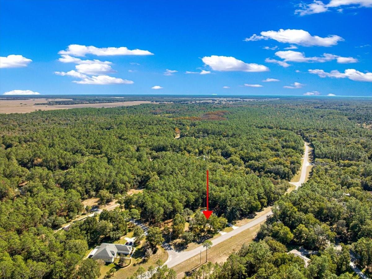 RAINBOW SPRINGS - THE FOREST - Residential