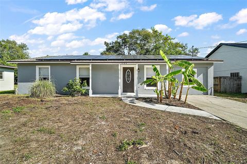 A home in MOUNT DORA