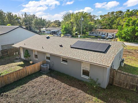 A home in MOUNT DORA