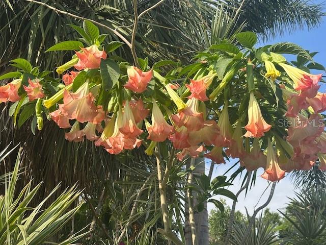 SNELL ISLE BRIGHTWATERS REP. PTS. OF SEC. 1 AND 2 - Residential