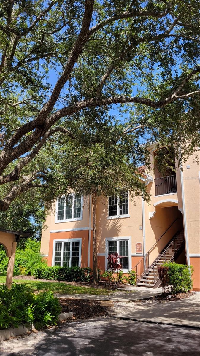 Annual UNfurnished WELCOME HOME! THIS GORGEOUS 3 BEDROOM, 2 BATHROOM, 1ST FLOOR CONDO IS LOCATED IN THE HEART OF PALMER RANCH! Bella Villino is a gated resort style community that is just minutes from Siesta Key Beach. When you walk into this home you will be blown away by the light, bright, open and airy feeling you get since this is an end unit with more large windows. With the large sliding glass doors, glossy wood flooring and paint this home has everything you and your family have been looking for. The kitchen has solid wooden cabinetry, new dishwasher and microwave, breakfast bar and new contemporary lighting and looks over the living and dining space. In the living room you will find a built in entertainment space. The primary suite features plenty of space for a king size bed and a large walk-in closet and en suite bathroom. The spare bedrooms also offer great space and share an additional updated bathroom with a tub/shower combo. The laundry is located inside the unit with full size machines and extra storage. Bella Villino is a gated community that features an elegant clubhouse with lounge, bar, library, piano, resort style pool and spa, indoor racquetball, basketball, billiards, business center, tennis court, car detail area, gas grills, picnic areas that are located around the property. Palmer Ranch is close to world class beaches, marinas, the popular Legacy Trail (bicycle/jog/walk), shopping, restaurants, golf courses and much more. Call for your private showing today! NOTE: This community is governed by a homeowners association. Approval may include an application, background screening, fees, and an approval process. Contact the agent for details.