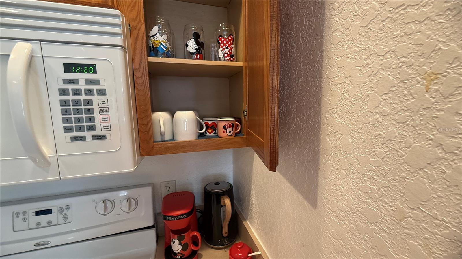 VILLAS AT SEVEN DWARFS LANE CONDO - Residential