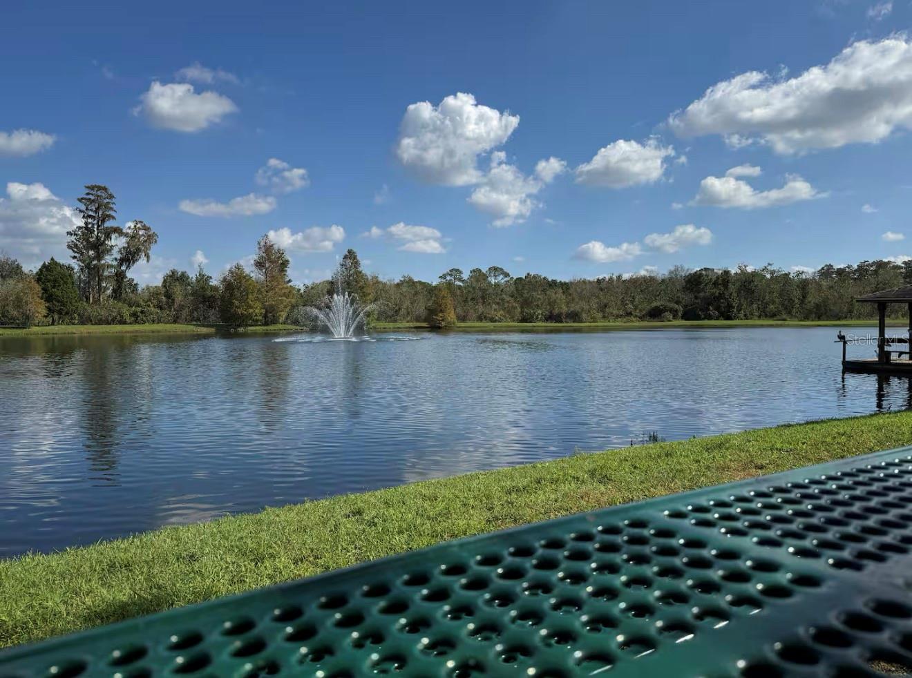 VILLAS AT SEVEN DWARFS LANE CONDO - Residential