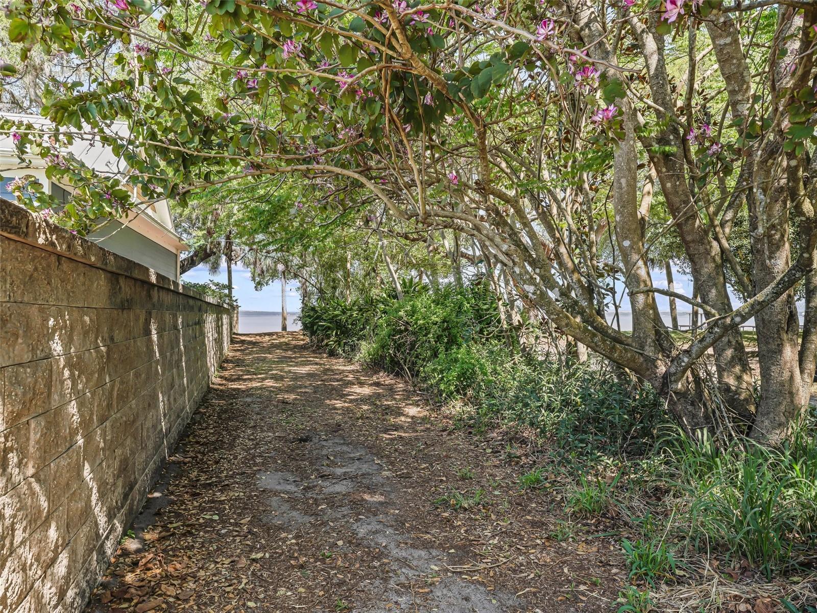 ORANGEWOOD SHORES - Residential