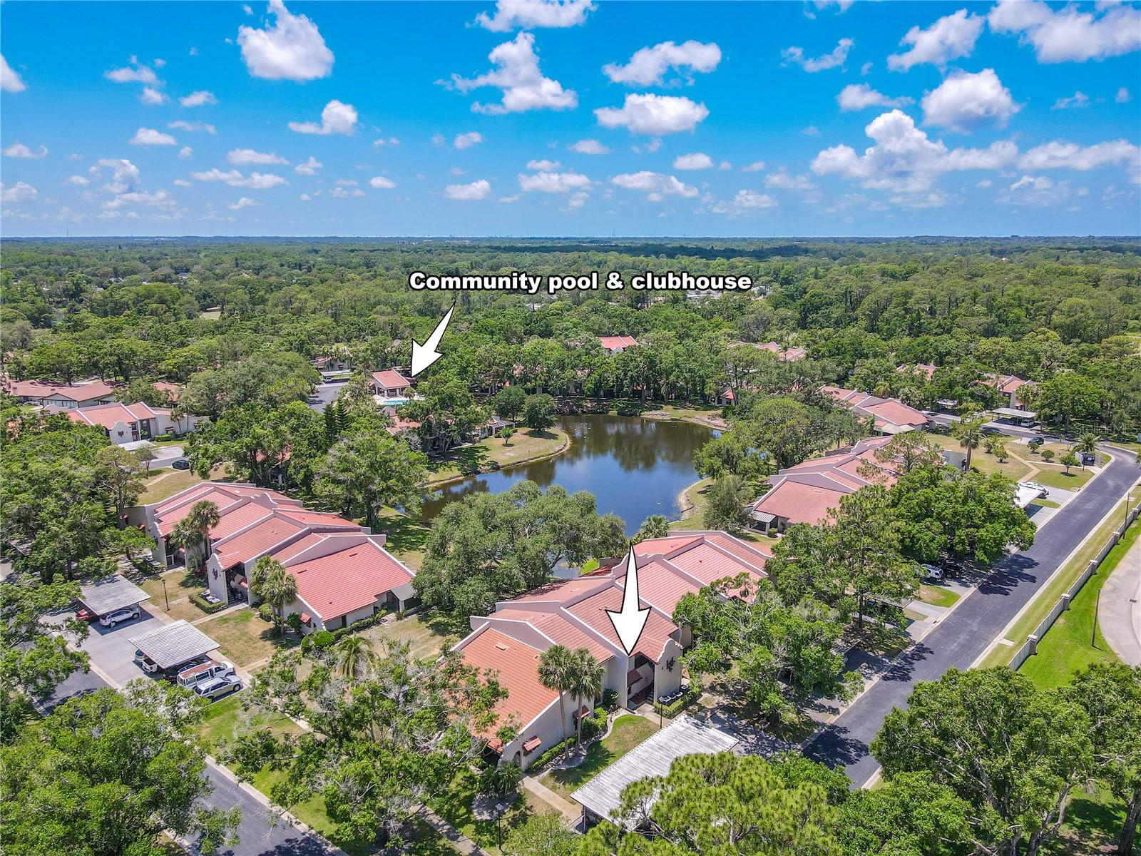 3505 TARPON WOODS BOULEVARD N405