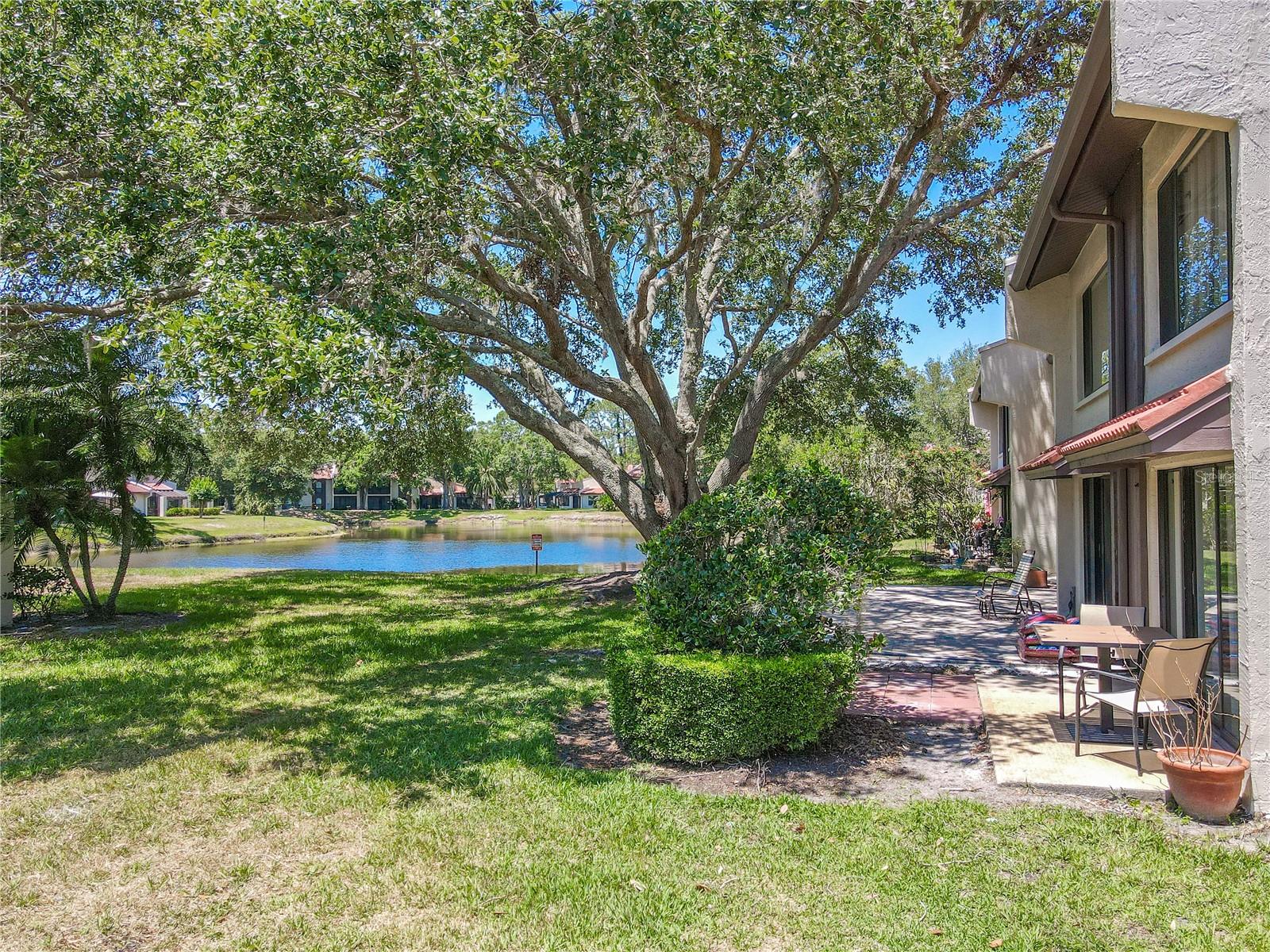3505 TARPON WOODS BOULEVARD N405