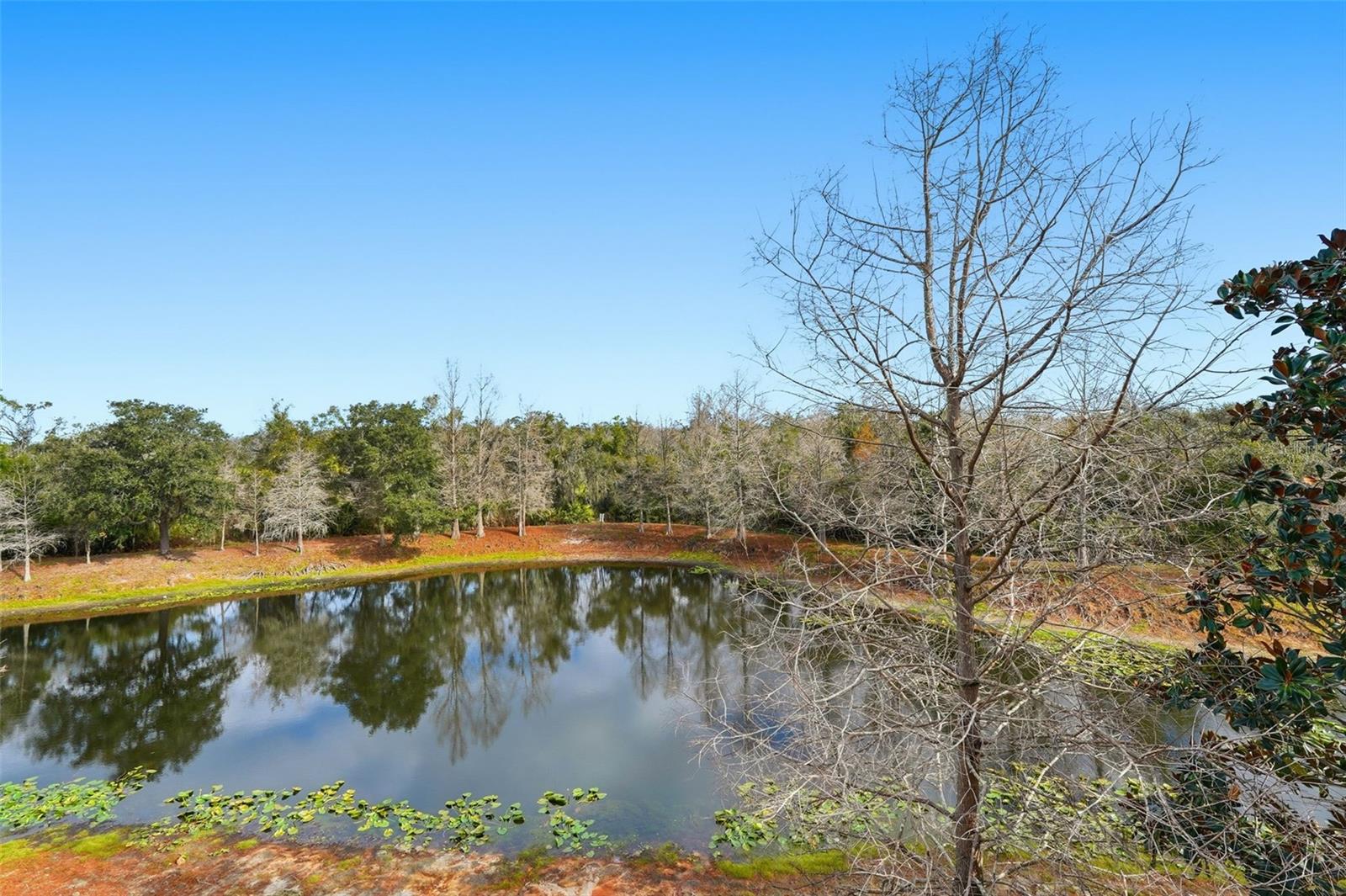 WILLOWBROOK PH 9 - Residential