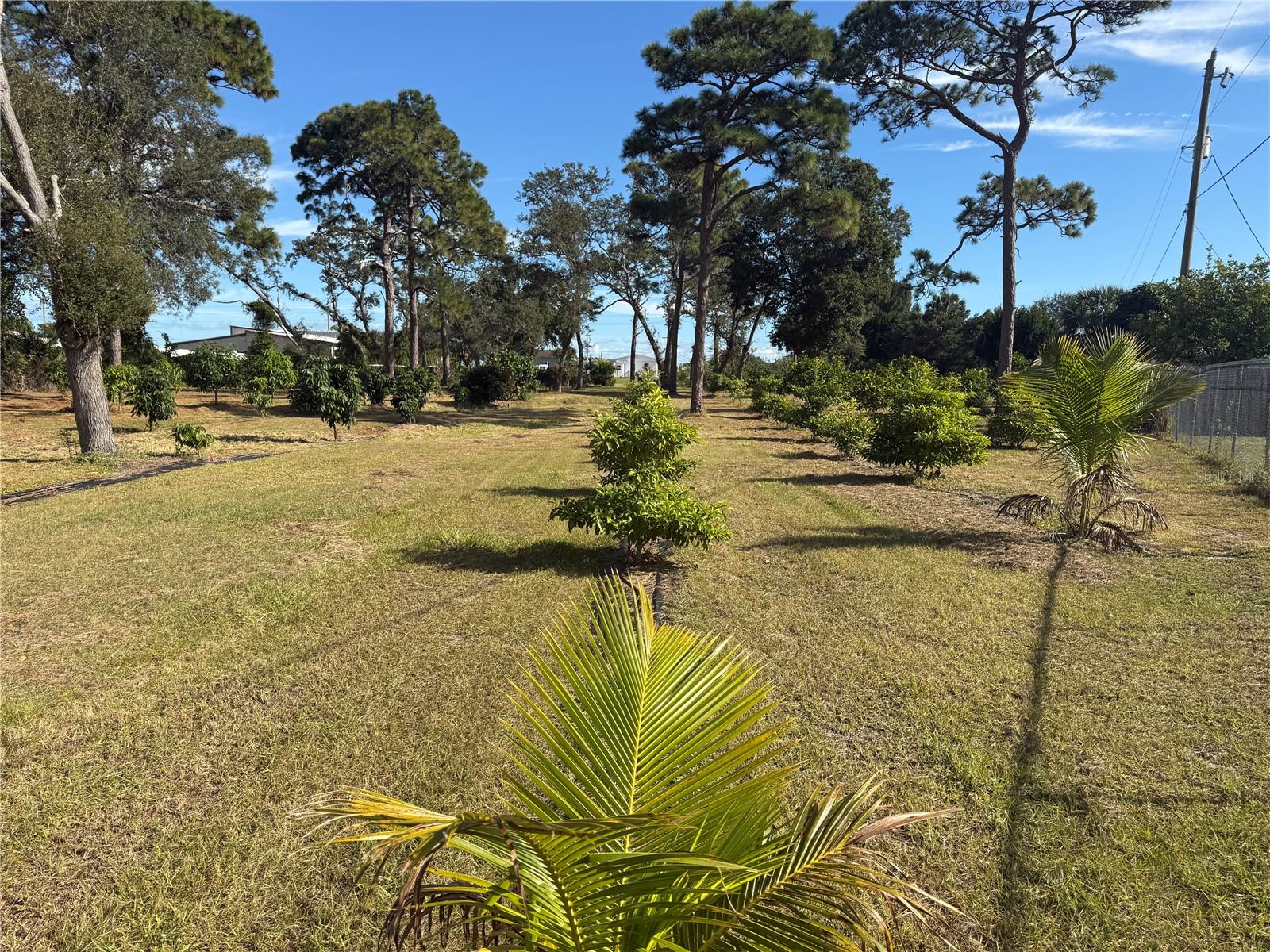 INDIAN RIVER ESTATES VILLAS UNREC PART OF LOT 4 AS - Residential