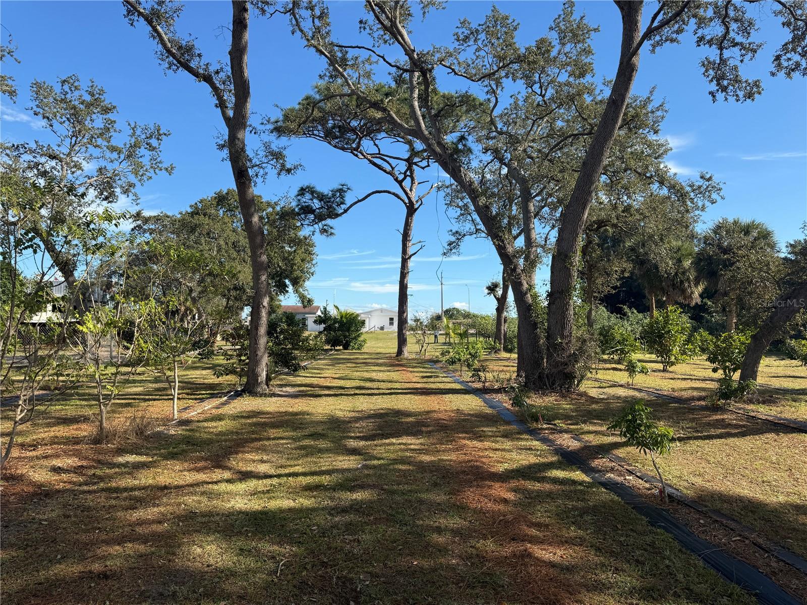 INDIAN RIVER ESTATES VILLAS UNREC PART OF LOT 4 AS - Residential