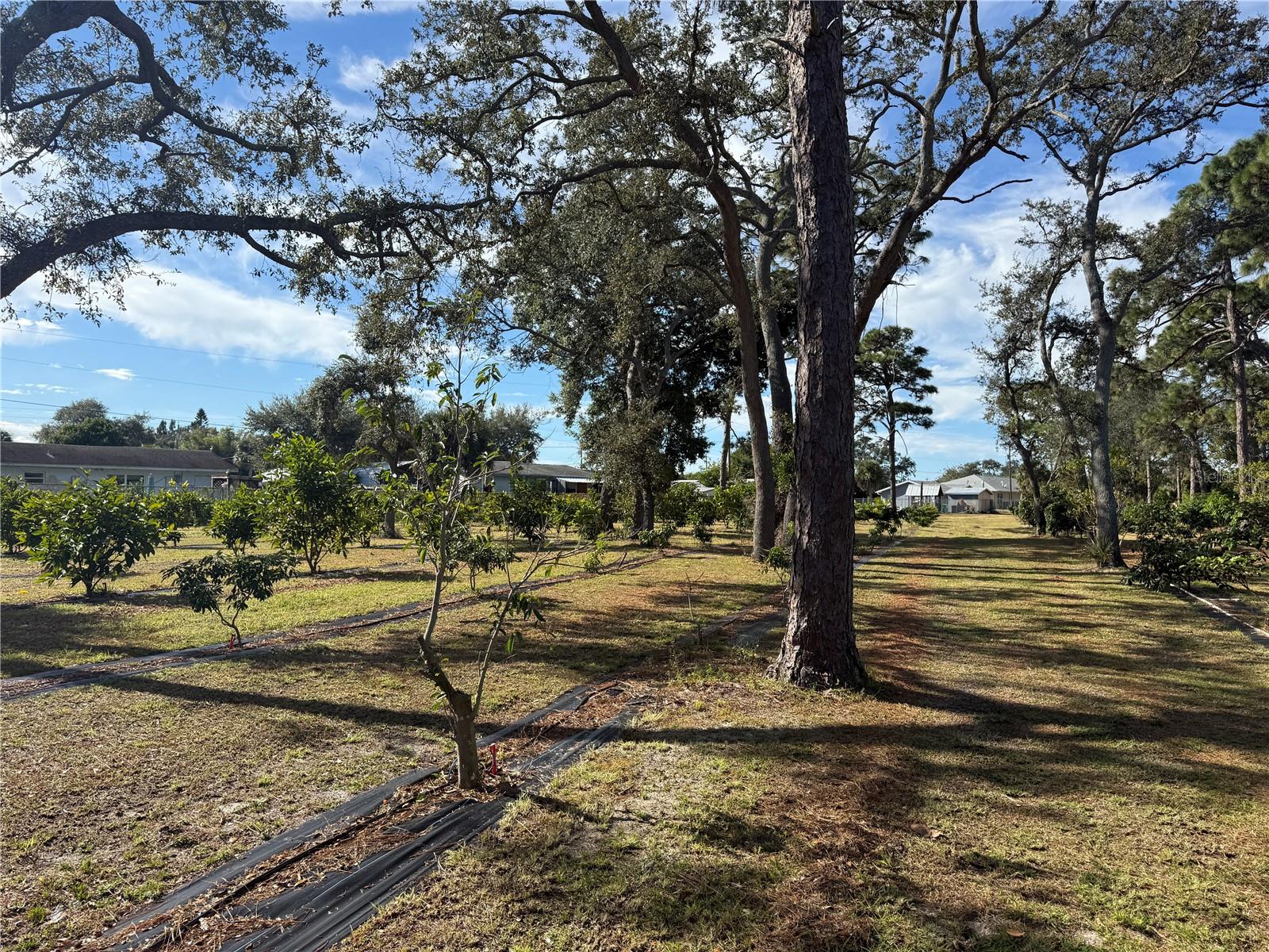 INDIAN RIVER ESTATES VILLAS UNREC PART OF LOT 4 AS - Residential