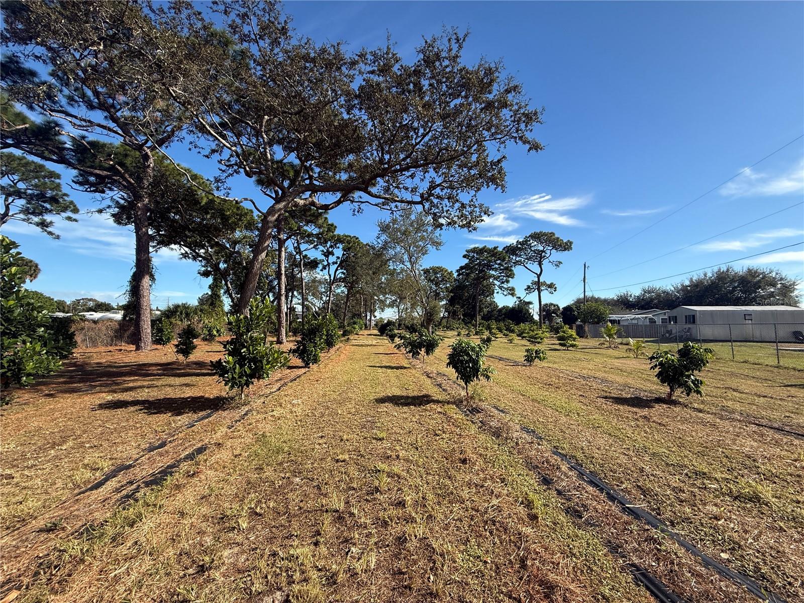 INDIAN RIVER ESTATES VILLAS UNREC PART OF LOT 4 AS - Residential