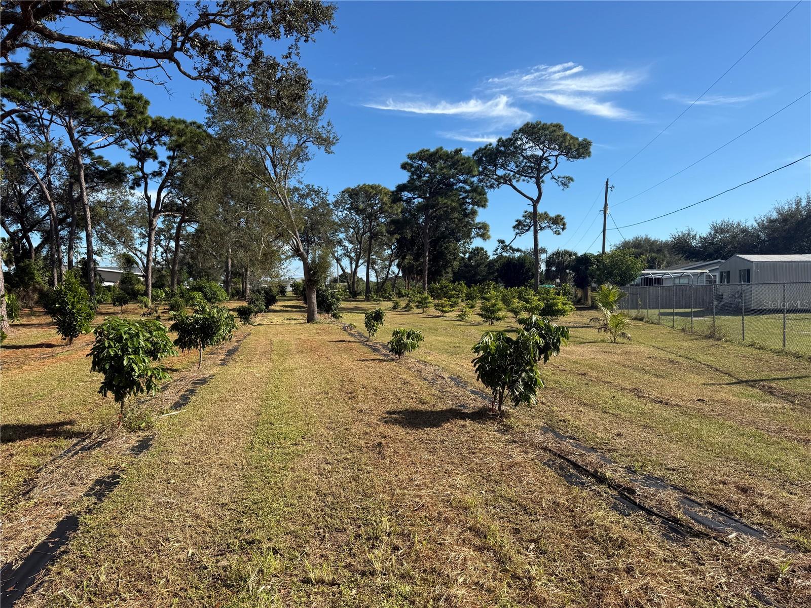 INDIAN RIVER ESTATES VILLAS UNREC PART OF LOT 4 AS - Residential