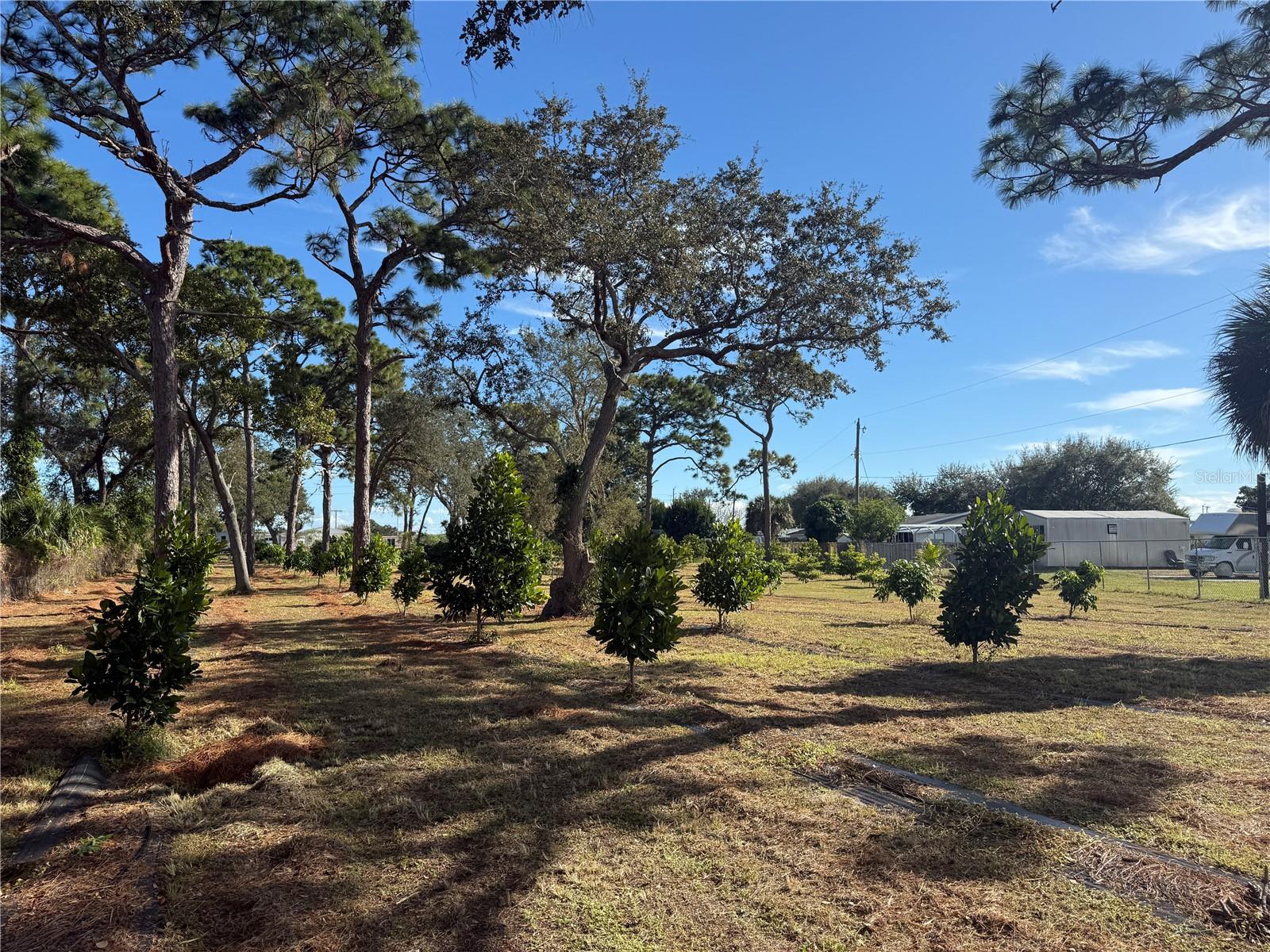 INDIAN RIVER ESTATES VILLAS UNREC PART OF LOT 4 AS - Residential