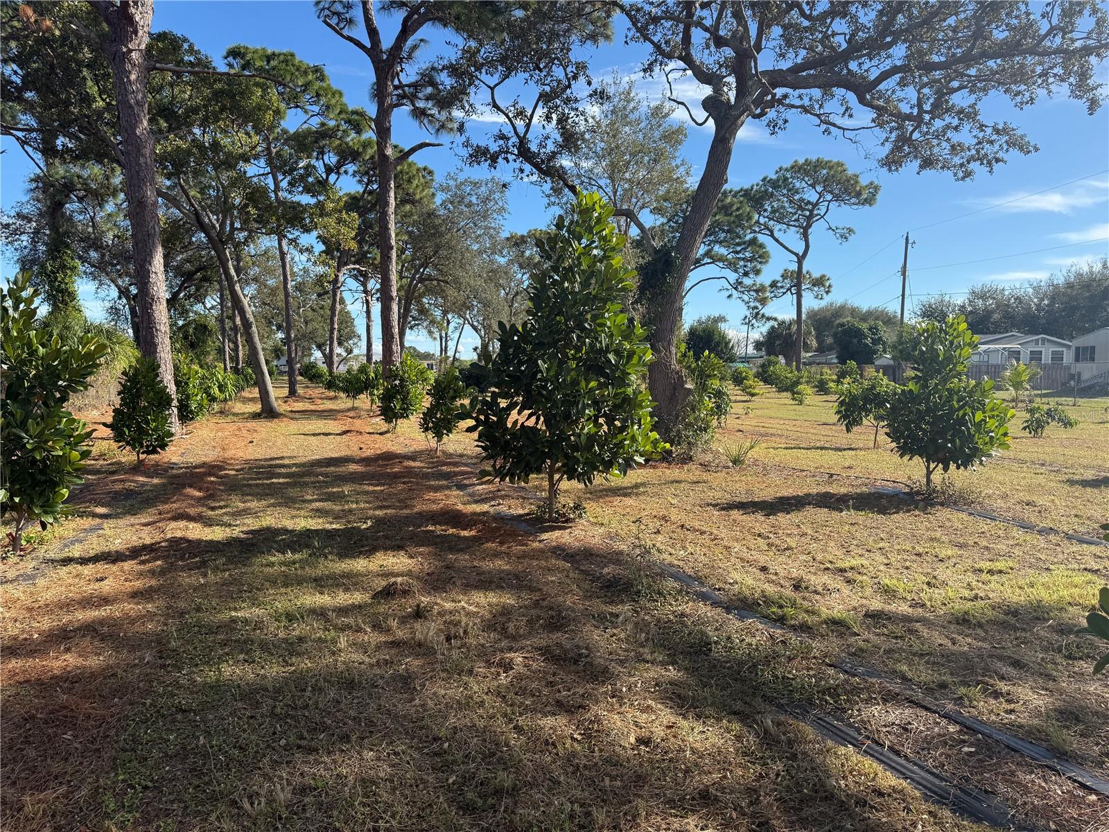 INDIAN RIVER ESTATES VILLAS UNREC PART OF LOT 4 AS - Residential