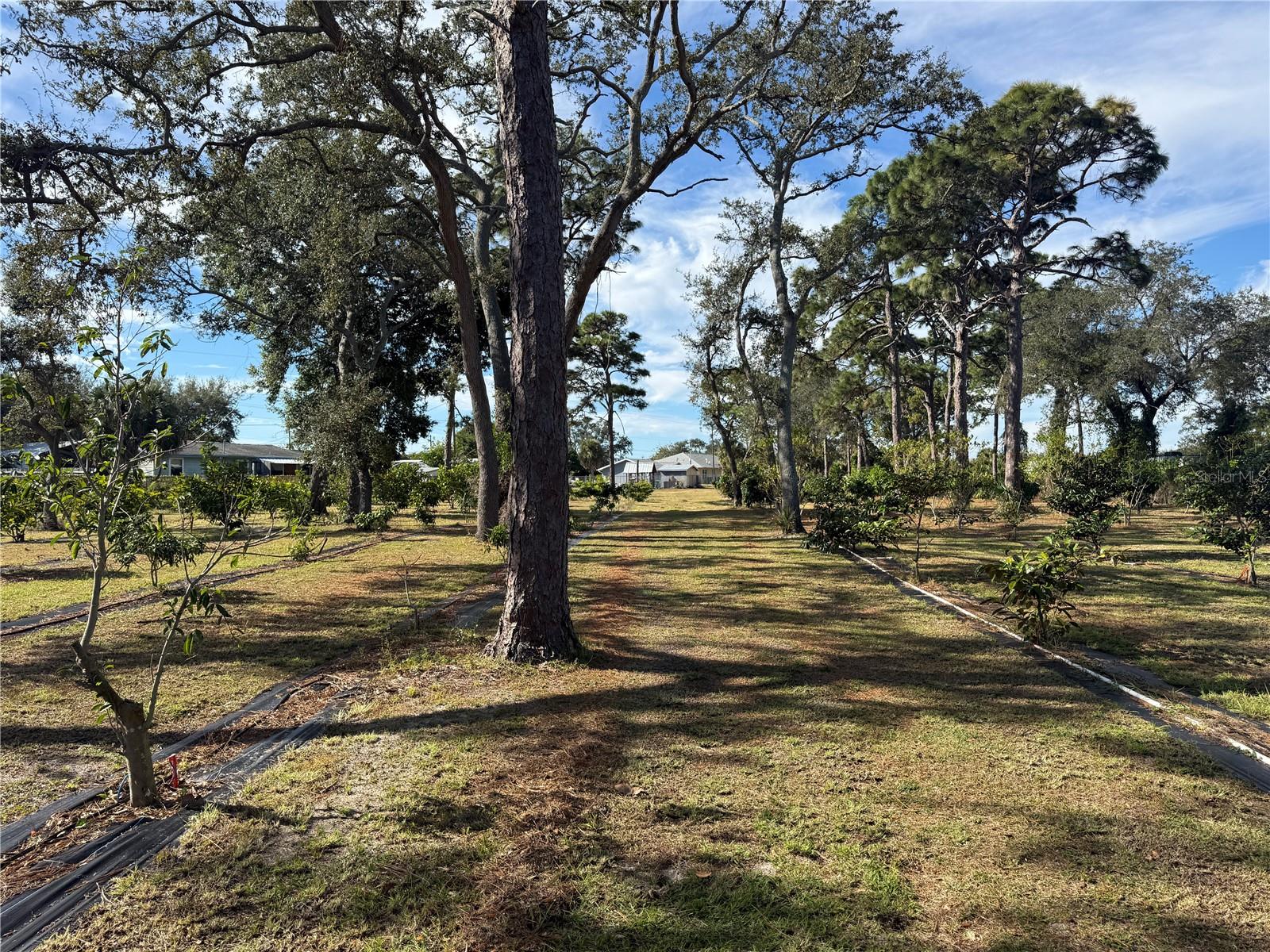 INDIAN RIVER ESTATES VILLAS UNREC PART OF LOT 4 AS - Residential