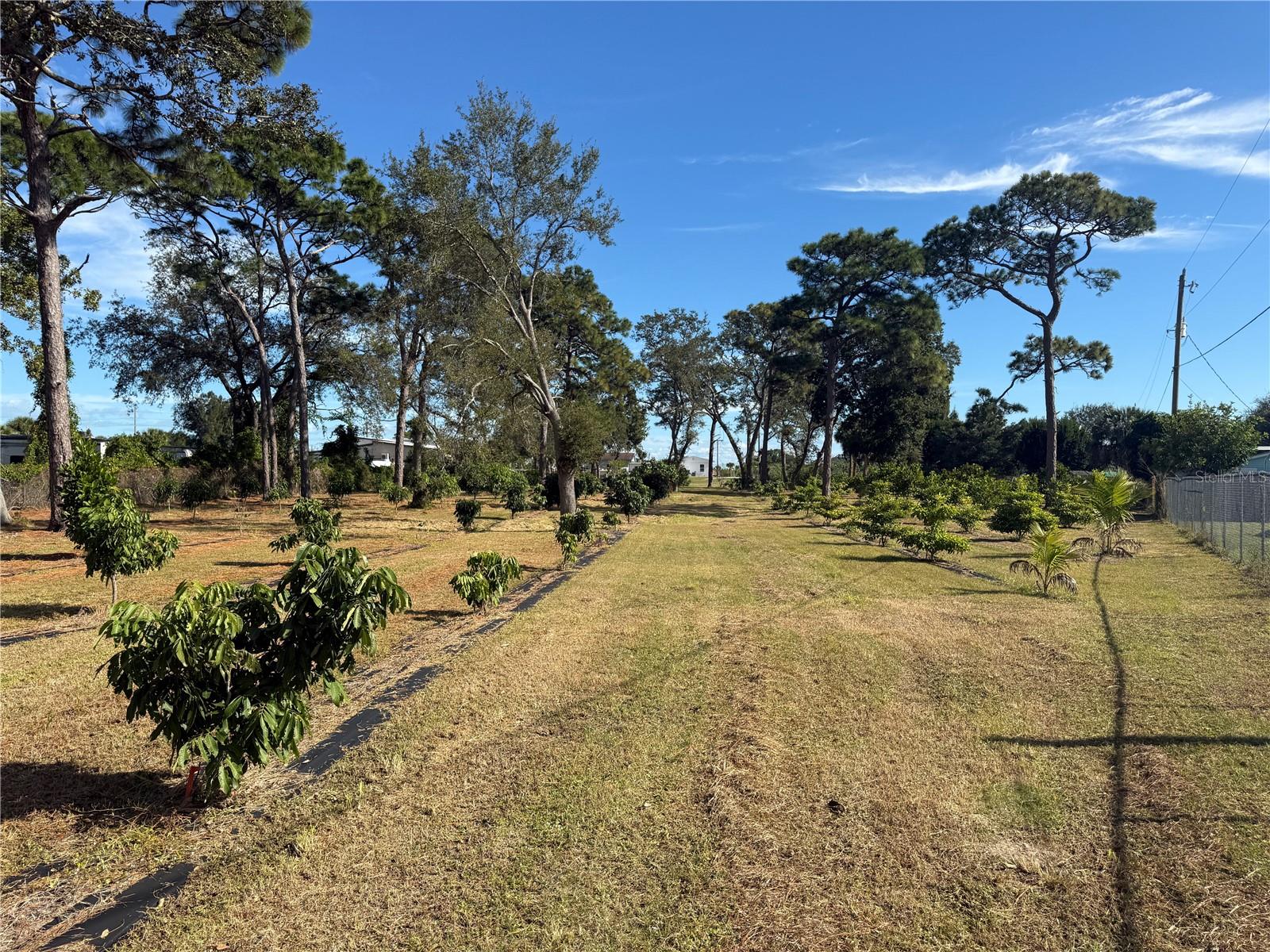 INDIAN RIVER ESTATES VILLAS UNREC PART OF LOT 4 AS - Residential