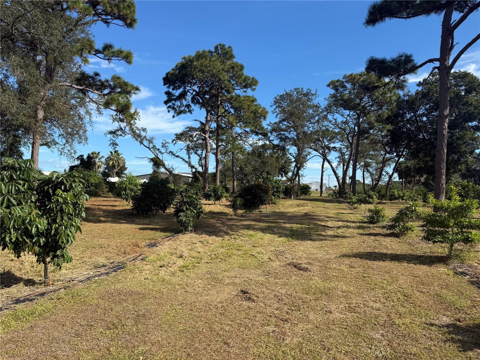 INDIAN RIVER ESTATES VILLAS UNREC PART OF LOT 4 AS - Residential