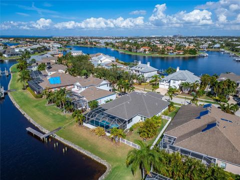 A home in APOLLO BEACH