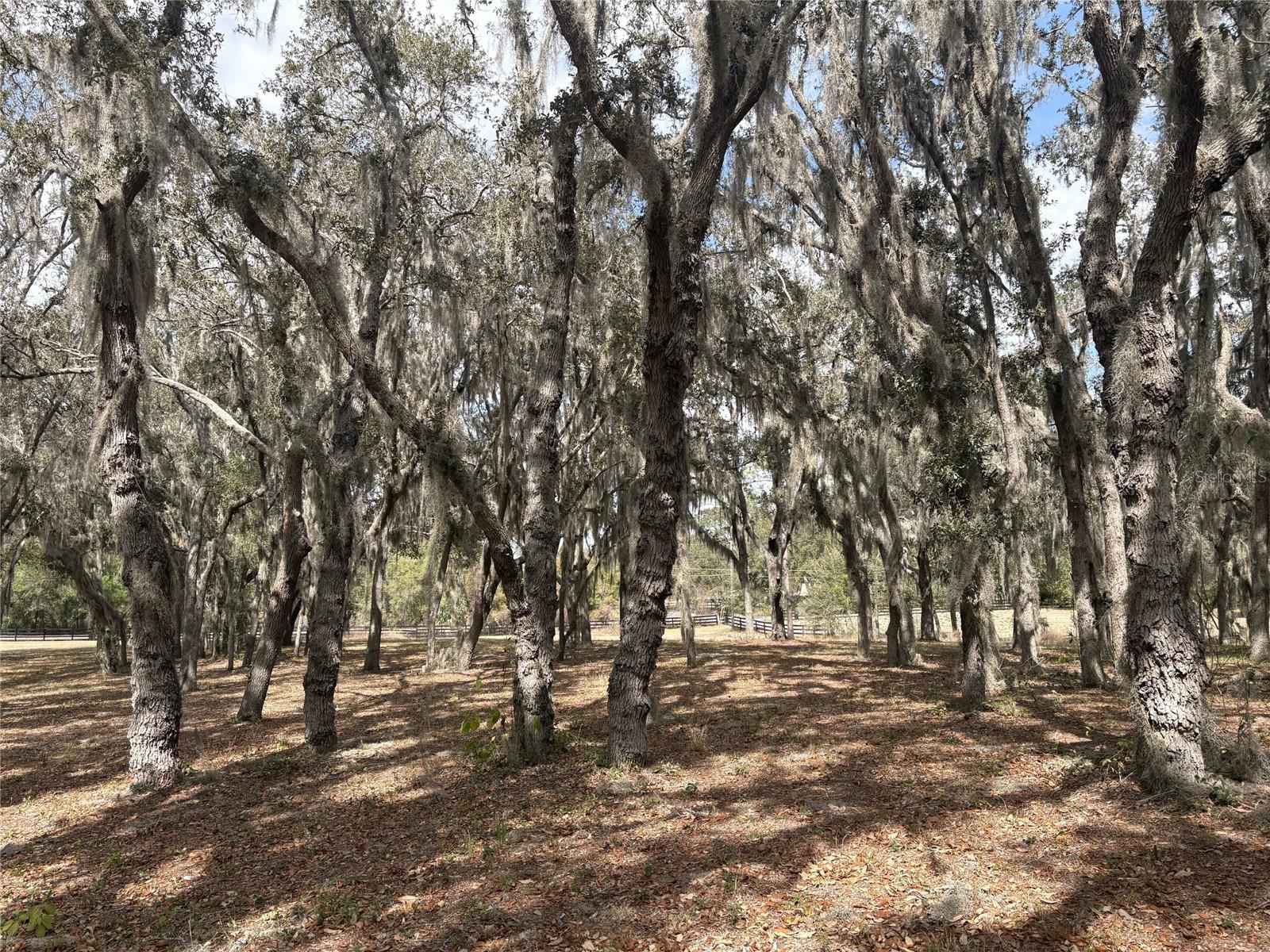 VINOLA GARDENS - Residential