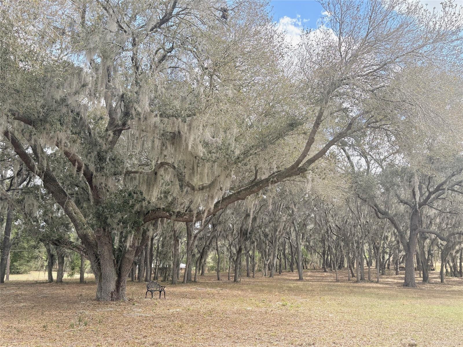 VINOLA GARDENS - Residential