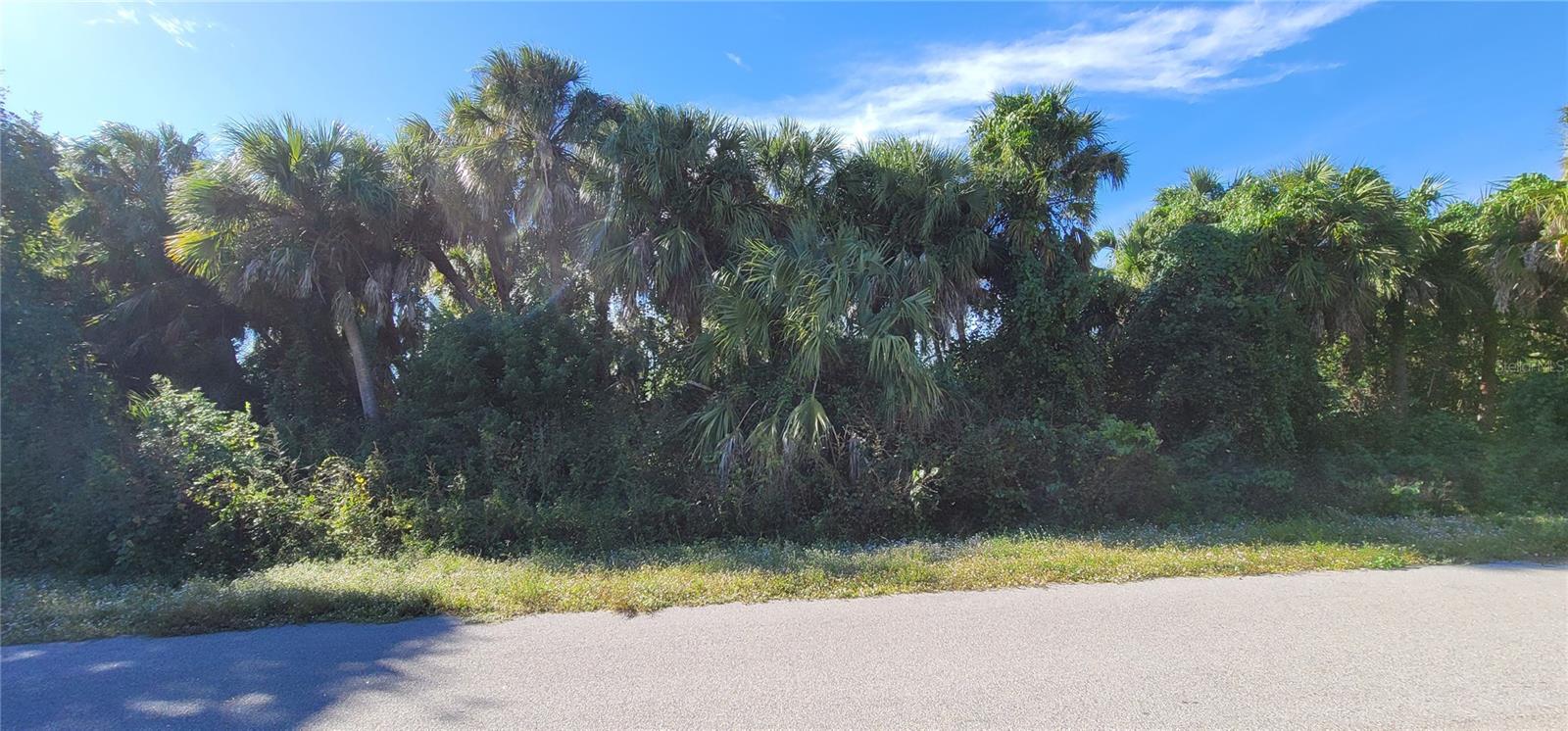 PORT CHARLOTTE SUB 22 - Land