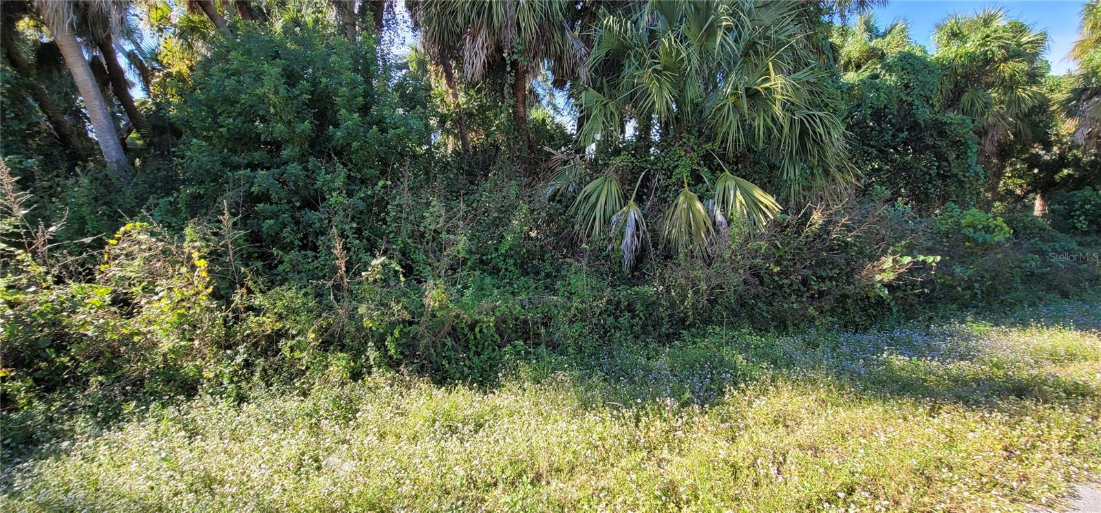 PORT CHARLOTTE SUB 22 - Land