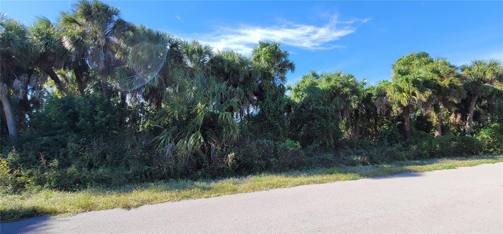 This is a great lot to build your next home on this peaceful beautiful lot. While it feels like you are in the country, you are close with easy access to all shopping, schools, restaurants and major highways. The lot is located in both flood zones X (the roadside) and AE, (the back side which is next to the green space. With an elevation certificate, it is possible to have the flood zone AE changed to X. Which would not require flood insurance.