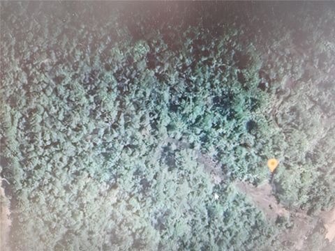 HOLOPAW GROVES ROAD ST CLOUD FL 34771