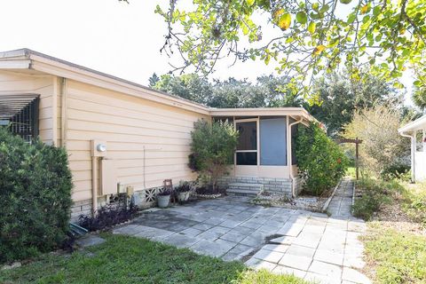 A home in MOUNT DORA