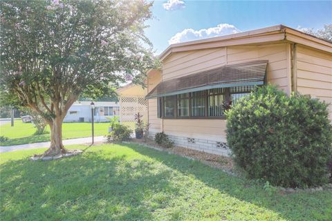 A home in MOUNT DORA