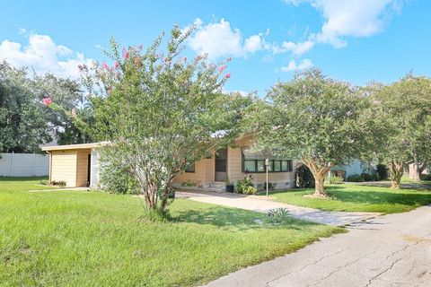 A home in MOUNT DORA