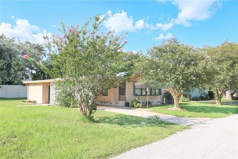 A home in MOUNT DORA