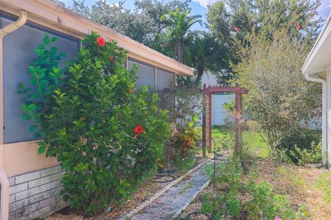 A home in MOUNT DORA