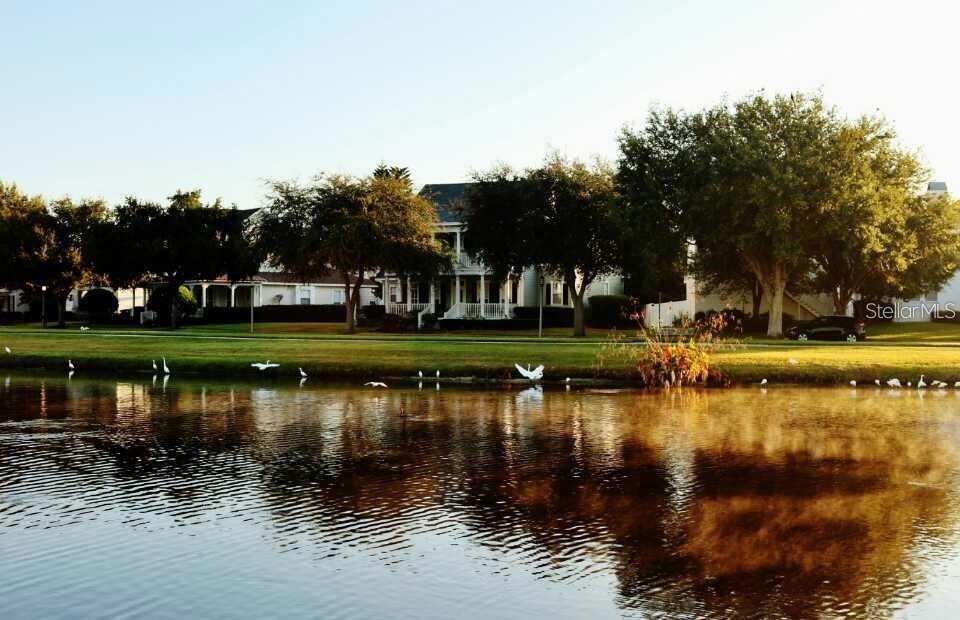 CELEBRATION WEST VILLAGE - Residential Lease