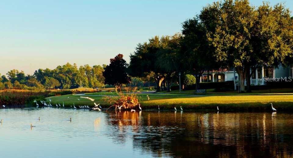 CELEBRATION WEST VILLAGE - Residential Lease