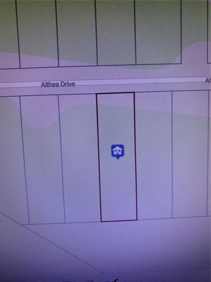 ALTHEA DRIVE