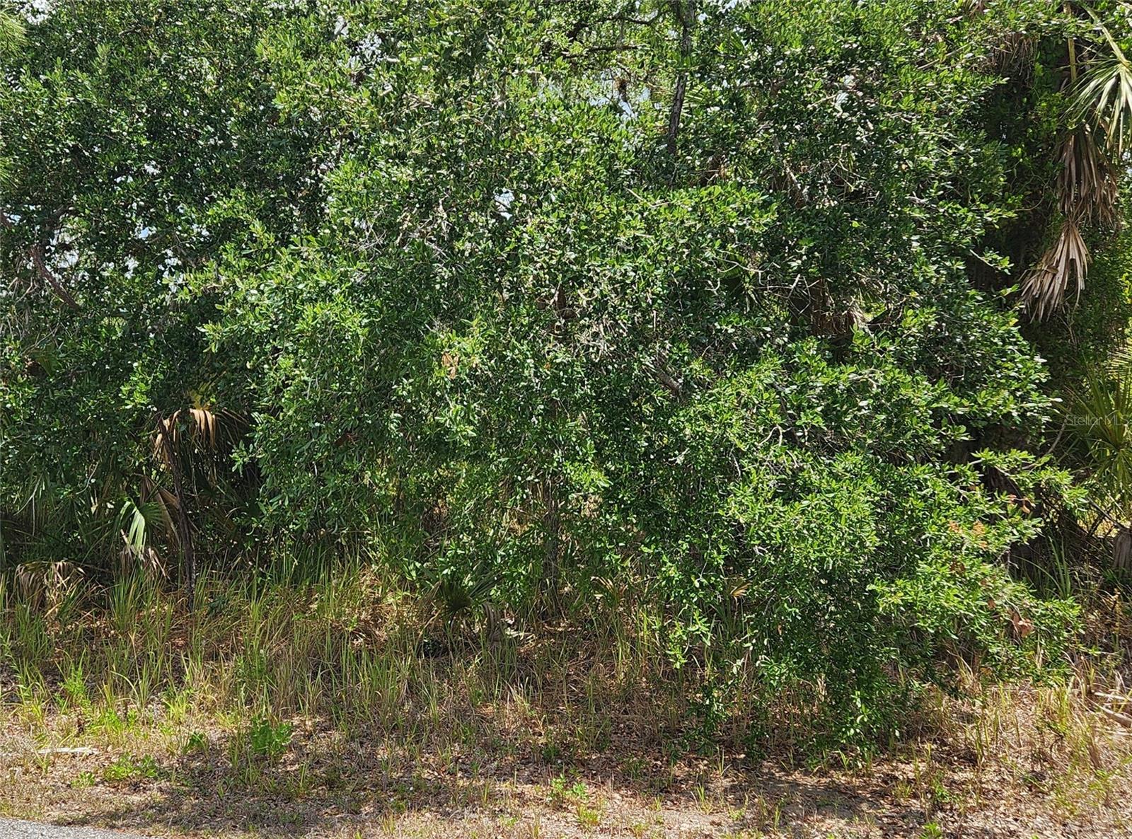 PORT CHARLOTTE SUB 12 - Land