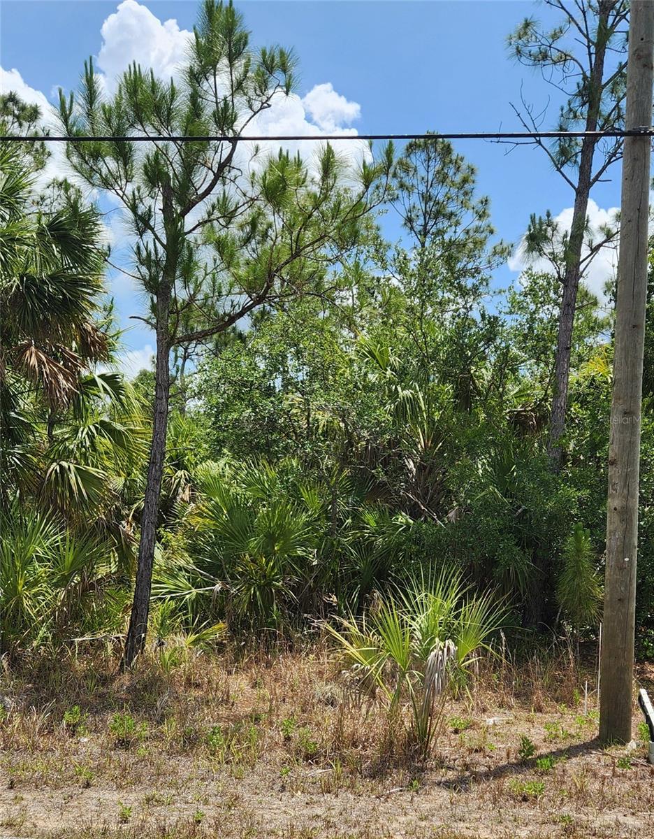 PORT CHARLOTTE SUB 12 - Land