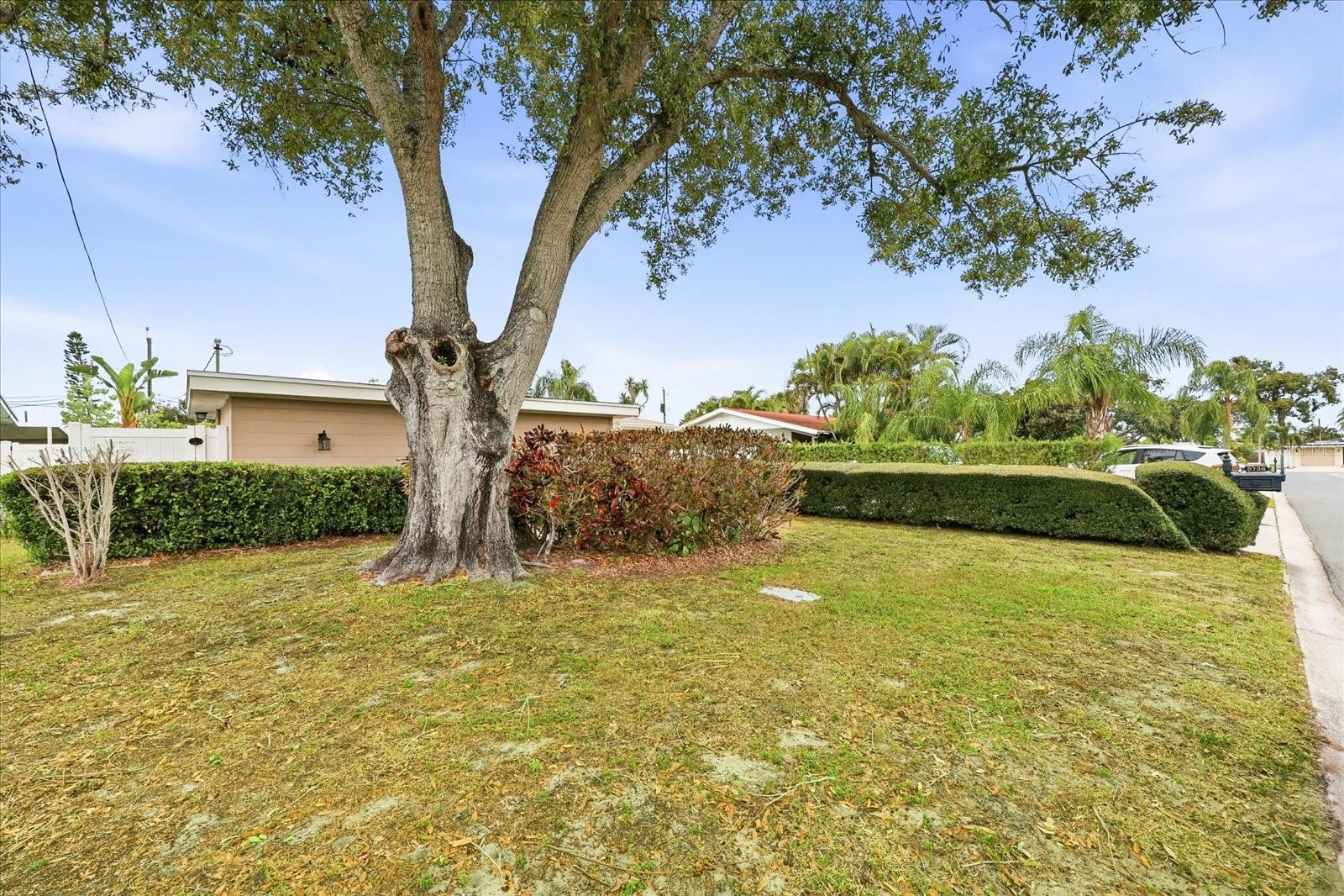 BLOSSOM LAKE VILLAGE SEC 3 - Residential