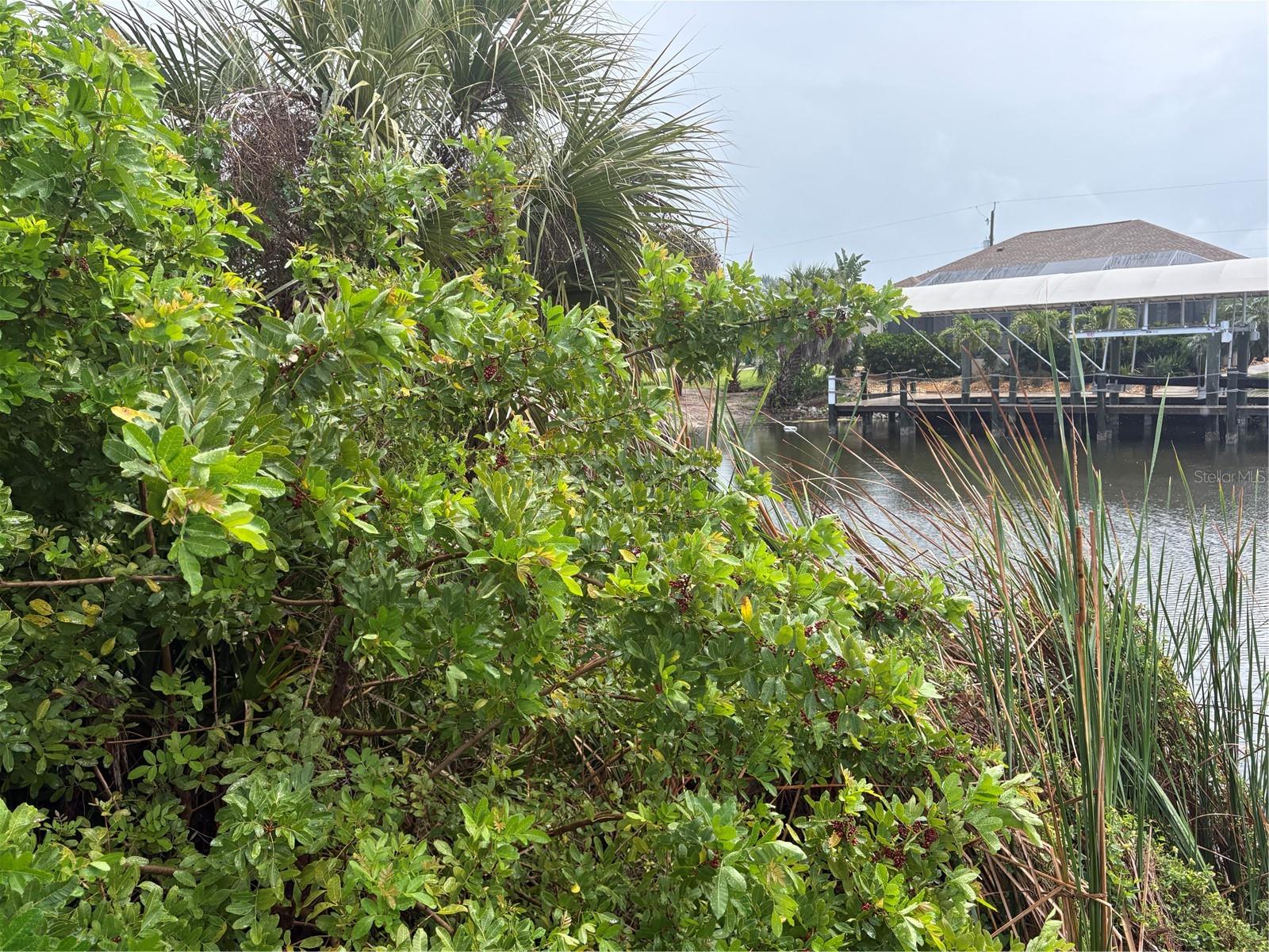 PORT CHARLOTTE SEC 081 - Land