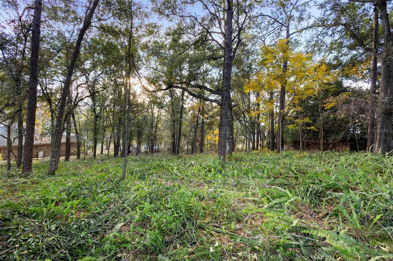 If you're looking for the perfect lot to build your dream home, look no further! As you enter the neighborhood, you're immediately greeted by a canopy of majestic Live Oaks and beautiful custom estates. This oversized, wooded lot, which has been thoughtfully underbrushed, is tucked at the back of the subdivision on a quiet, no-thru road. The gentle slope towards the rear of the property offers an ideal setting for a custom home with a walk-out basement, garage, or even an in-law suite. The seller also has two approved sets of house plans available, both ready for construction on this lot. A minimum of 2,250 sqft is required for your build, ensuring a spacious and impressive home. Conveniently located near major access roads and shopping, this is the final buildable lot in the highly-coveted and well-established Westminster Woods. All information is thought to be accurate, but should be verified by buyer.