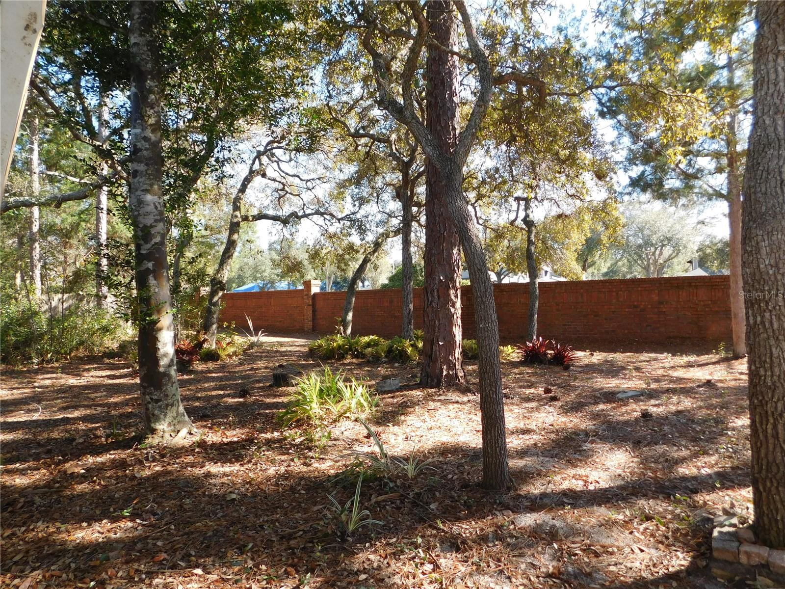 THE FOREST PH 2 SEC 2 - Residential