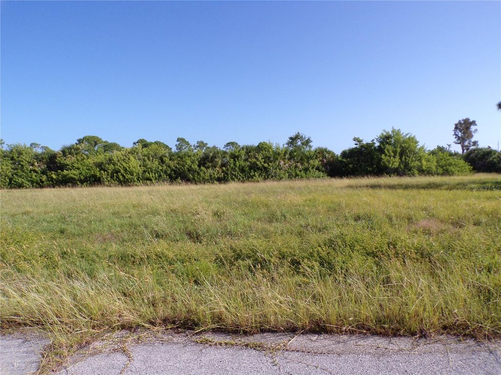 Photo of 13384 Alewife Lane, Placida, FL 33946 (MLS # C7516032)