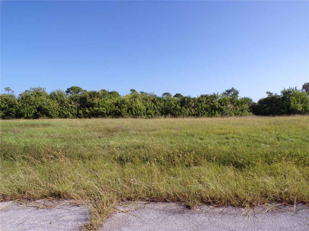 Photo of 13384 Alewife Lane, Placida, FL 33946 (MLS # C7516032)