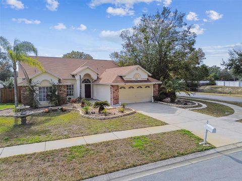 A home in TARPON SPRINGS