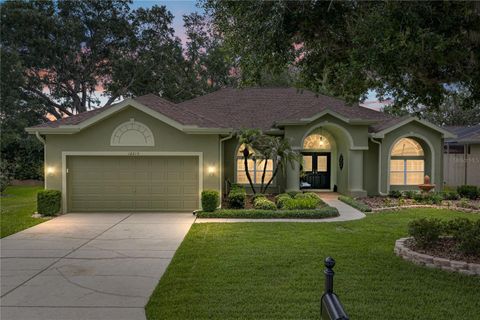 Photo of 12215 Woodlands Circle, Dade City, FL 33525 (MLS # TB8520475)