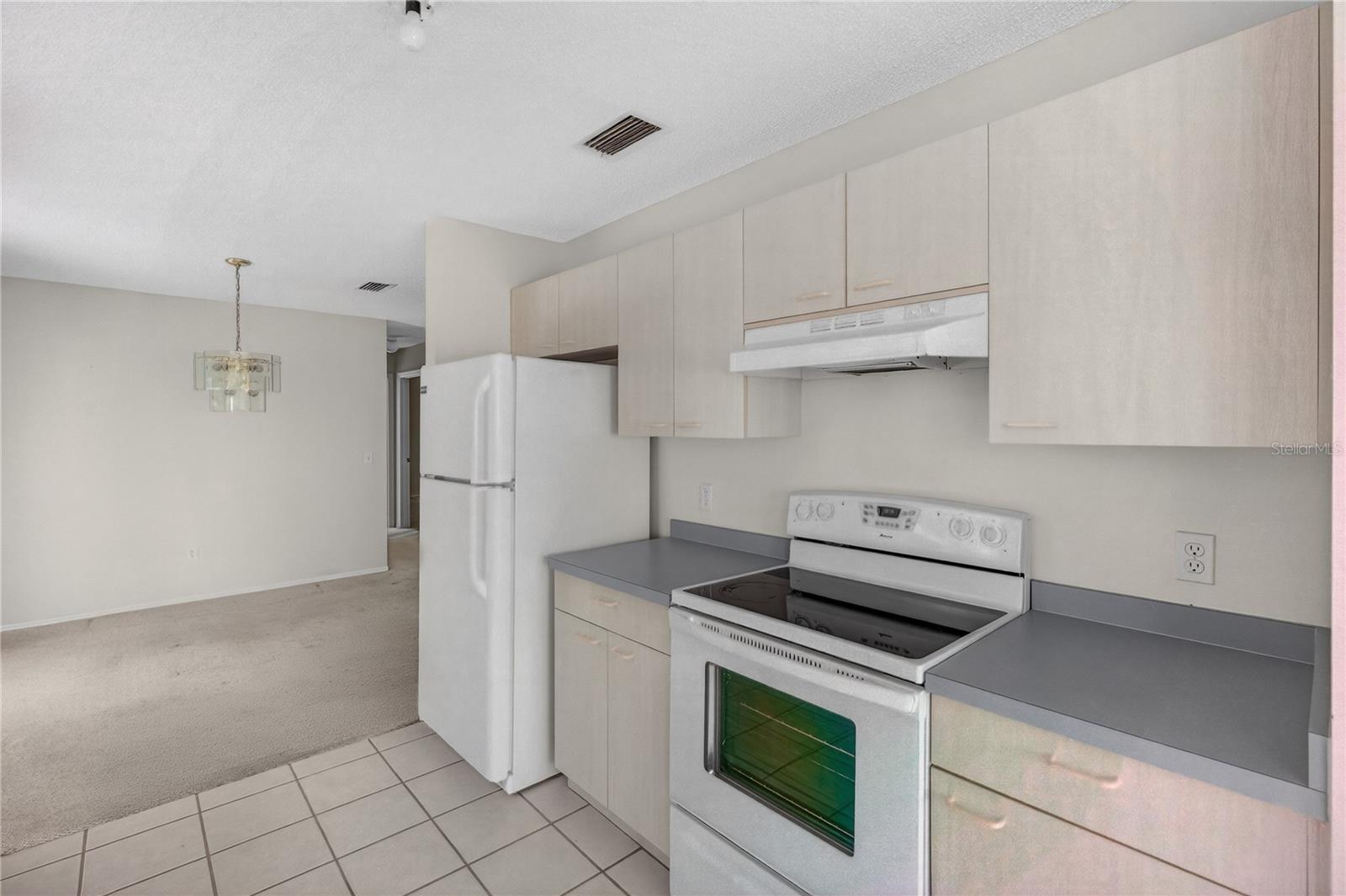 VILLAGES OF SUMTER - Residential